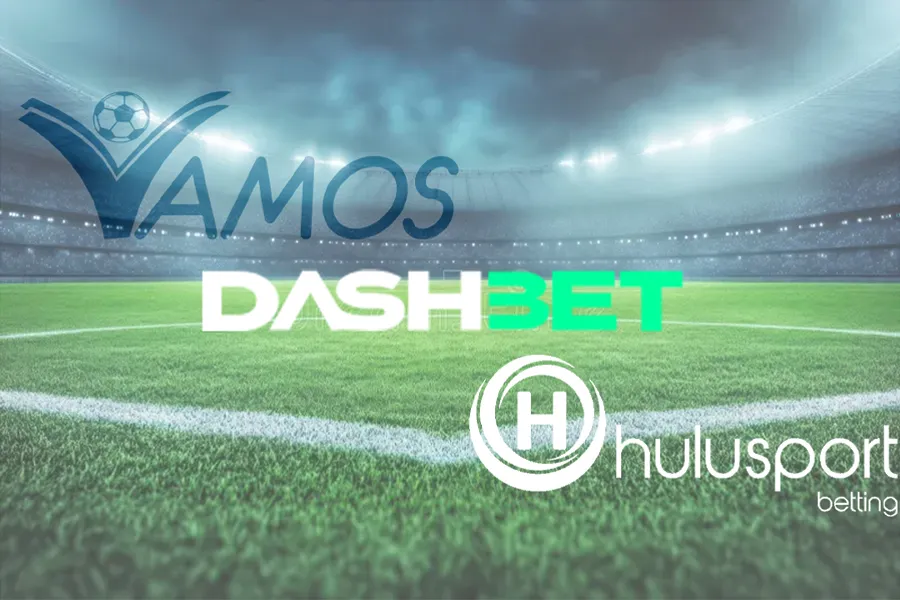 Hulusport brand on a football stadium pitch
